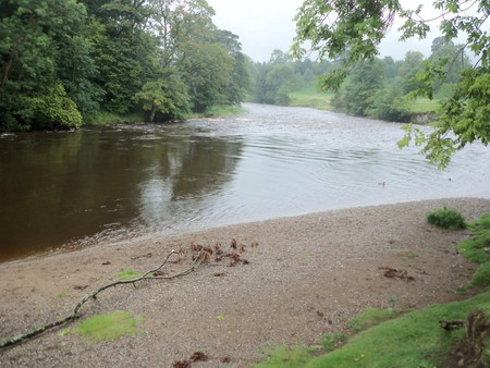 River Wharfe Yorkshire UK - pebbles, trres, branch, bend in river