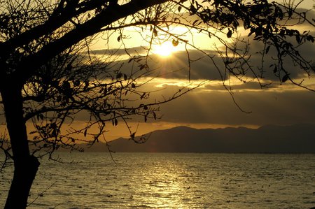 Romantic - sky, tree, nature, sunset