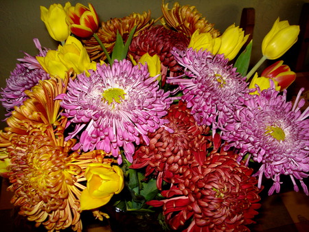 Fall flowers - flowers, fall, blooms, nature, autumn