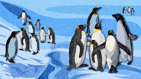 Penguin Summer - ice, birds, penguins, cold, snow, firefox persona, antarctic