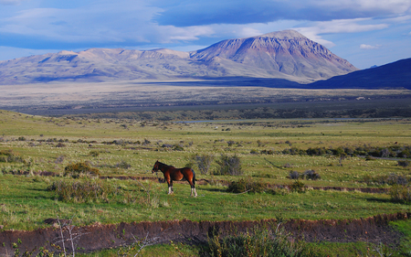 El Calafete - nature, lake, valley, clouds, lhorse, mountains, prairie, brush