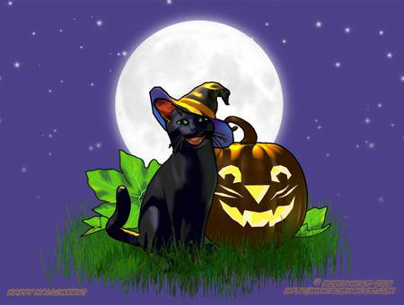 Happy Halloween - halloween, fun, pumpkin, cat, happy