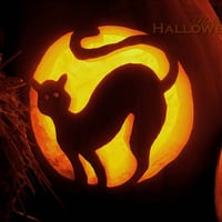 Halloween Cat