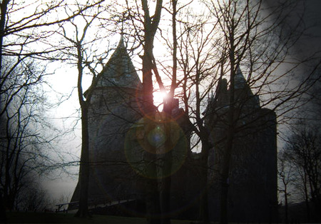 Fairytale - tower, trees, castle, light