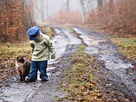 Can we Go Home Boss ? - boy, little, forest, cat, way