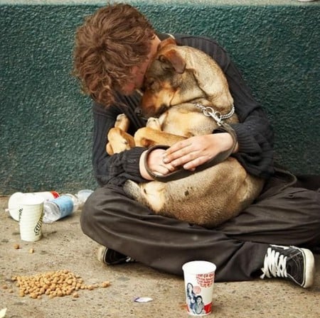 Loyalty - street, love, poor, man, dog