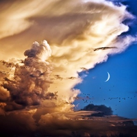 Clouds, Birds, Venus, Moon