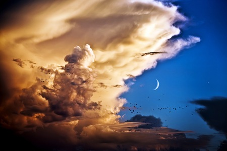 Clouds, Birds, Venus, Moon - moon, sky, blue, clouds, venus, birds