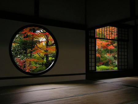 Windows Without... - house, autum, view, window, forest