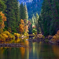 Merced River in fall