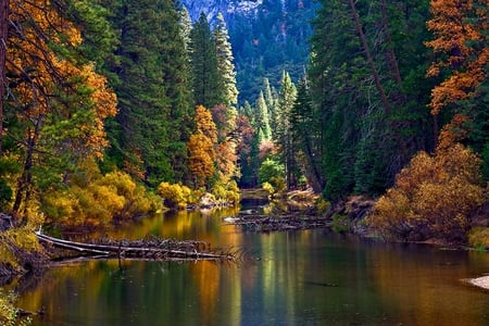 Merced River in fall - fall, river, trees, nature