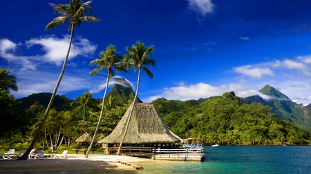 TAHITI ISLAND MUREA - beach, trees, paradise, bench, mountains, bungalow, palm trees, mountain, tropical, summer, palm, restplace, property, forest, beautiful, fog, sea