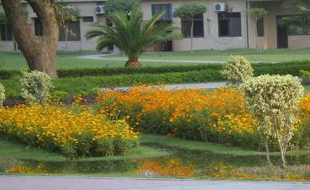 Park - nature, park, flowers