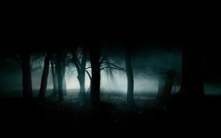 Dark forest - goth, fantasy, night, forest, dark