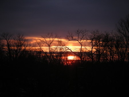 Dark Sunset - trees, sunset, evening, night, dark, sun