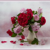 still life