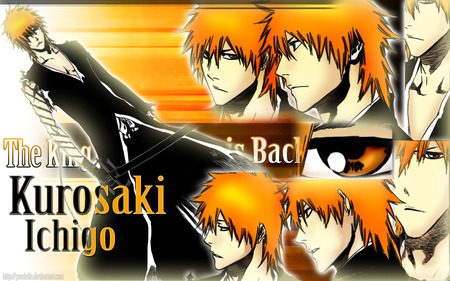 Kurosaki Ichigo - ichigo, kurosaki, king back, bleach