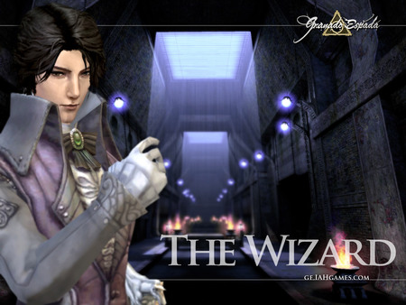 The Wizard - the wizard, action, game, sword of the new world- granado espada, adventure, hd