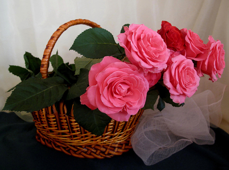 still life - nice, roses, photography, bouquet, basket, rose, still life, cool, pink, red, beautiful, flowers, photo, flower, harmony