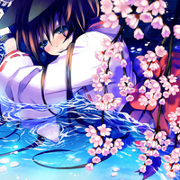 Cherry_Blossom