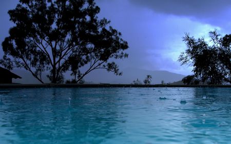 A Little Rain Must Fall - trees, water, nature, photography, rain, lake