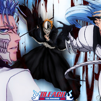 Ichigo and Grimmjow