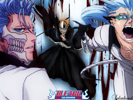 Ichigo and Grimmjow - ichigo, grimmjow, hollow, bleach