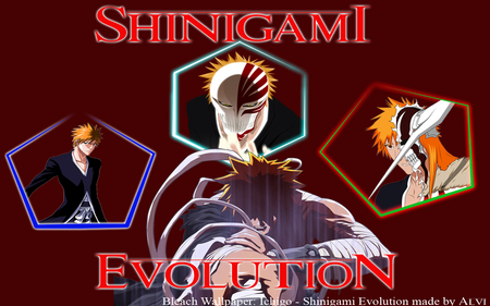 Shinigami Evolution - ichigo, hollow, bleach, shinigami