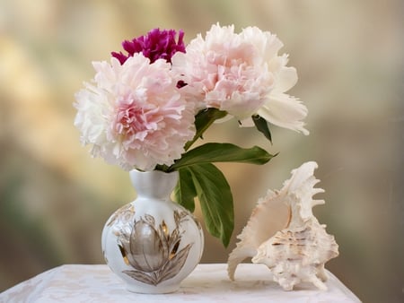 still life - vase, beautiful, photography, photo, cool, flower, still life, bouquet, snail, flowers, shell, peony, white, nice