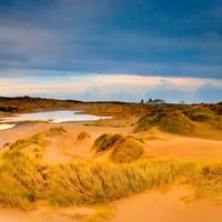 Sandy landscape