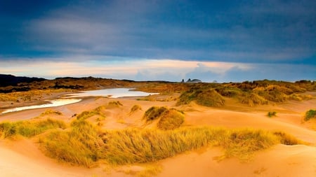 Sandy landscape - storm, sand, desert, beach