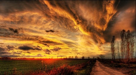 Autumn Glow - sky, autumn, field, sunset