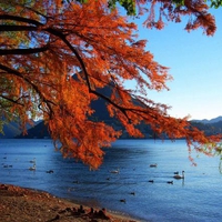 fall on the lake