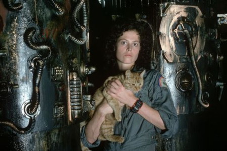 Where is he ??? - space, alien, woman, hiding, sigourney weaver, cat