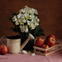 still life