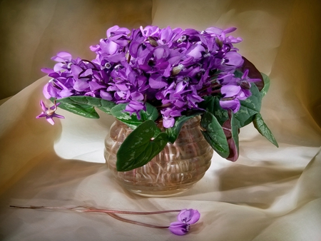 Beautiful Flowers - pretty, glass vase, vase, violets, water, beautiful, photography, springtime, table, beauty, lovely, still life, flowers, white, nature, nice