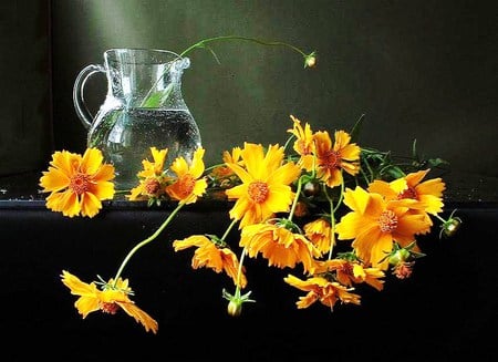 Little bits of sun - water, lovely, golden flowers, glass pitcher, still life, pitcher, yellow, green background, flowers, sunny