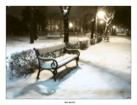 Winter break - trees, empty, snow, park, winter, bench, lights