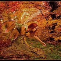 Autumn fairy