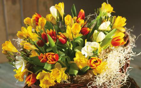 Flowers - flowers, basket, tulips, nature, etc