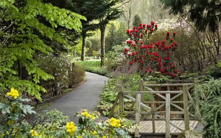 Flowers - flowers, path, trees, nature