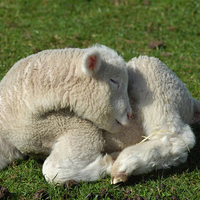 Baby In The Sunshine