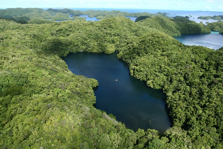 Jellyfish Lake, Palau - lake, jellyfish, palau, island