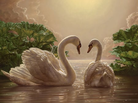 Swans - lake, swans, sunshine, water, sunset, painting, softness, butterfly, beautiful, romance, flowers, pond