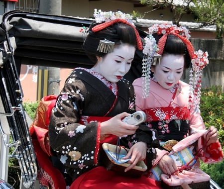 Japanese Beauties - girls, geisha, japan, kyoto