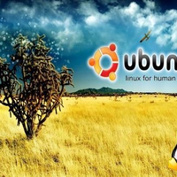 Ubuntu-Tux 2