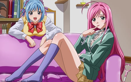 Welcome to OUR room  - blushing, beauty, long hair, rosario, short hair, vampire, school uniform, akashiya moka, blue hair, kuruno kurumu, cute, beautifull, school girls, pink hair, sexy