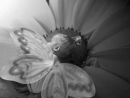 butterfly baby - a, y, b