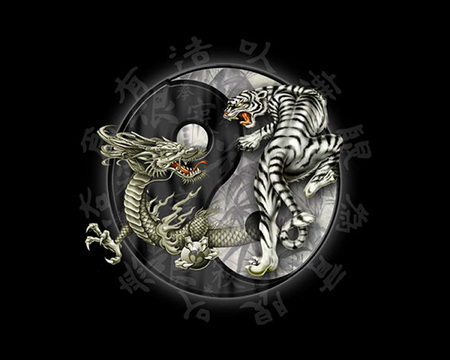 tiger and dragon - absttract, tiger, chinese, cg