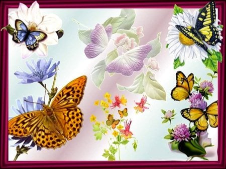 Butterflies & Flowers - nature, life, wings, flowers, butterflies